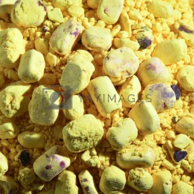 Sulfur – Essential Soil Nutrient & Soil Conditioner for Improved Crop Performance