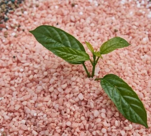 imgi_109_Potash-solutions-600x450